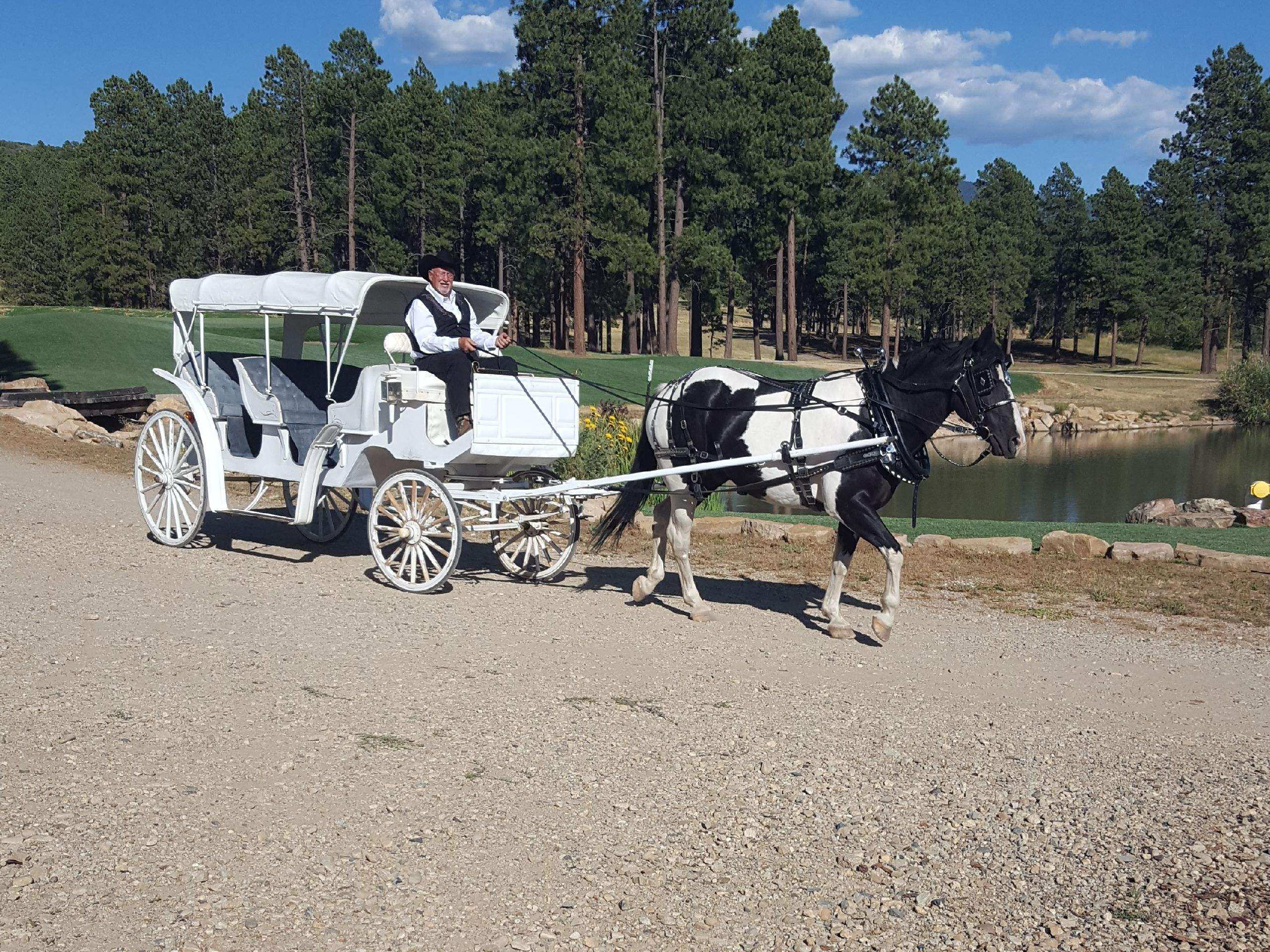Tuxedo and carriage